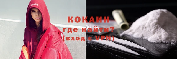 гидра Няндома