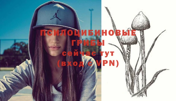mdma Осташков