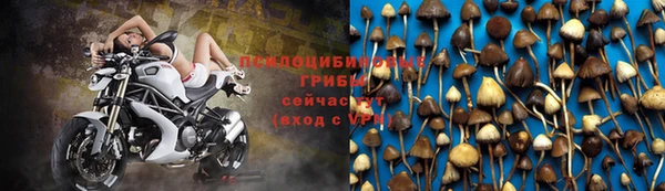 a pvp Осинники