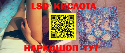 прущие грибы Волгодонск