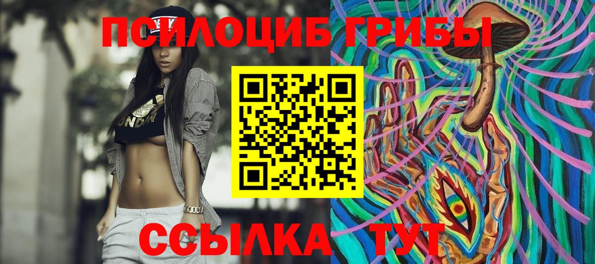 Псилоцибиновые грибы Psilocybine cubensis  Вход с VPN  Тара 