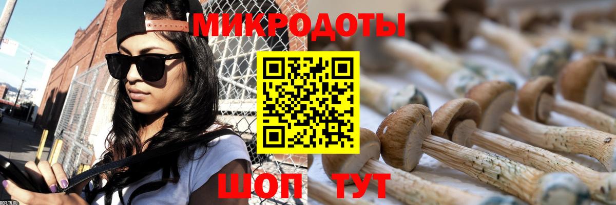 Псилоцибиновые грибы мицелий Тара