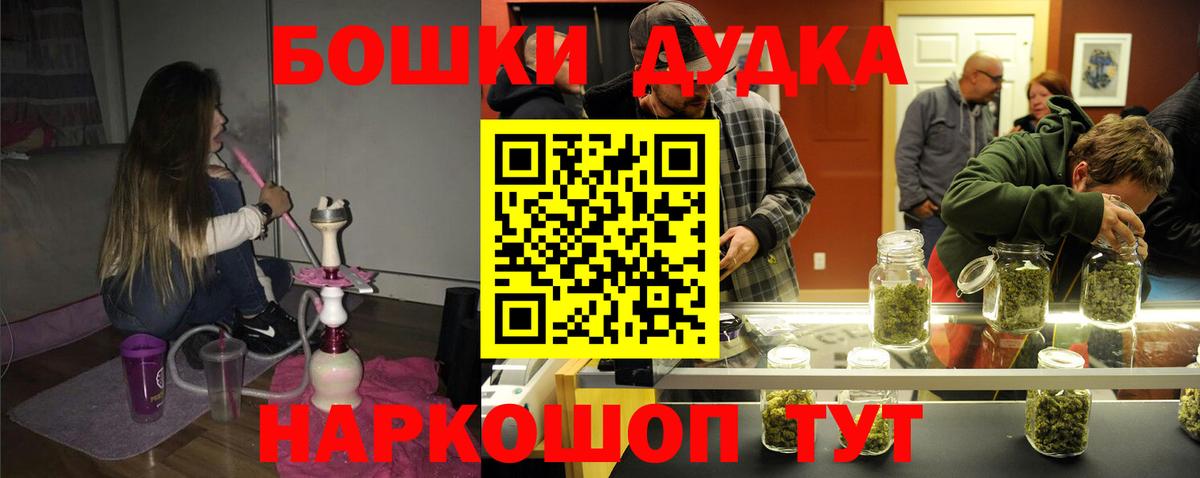 Каннабис планчик Тара